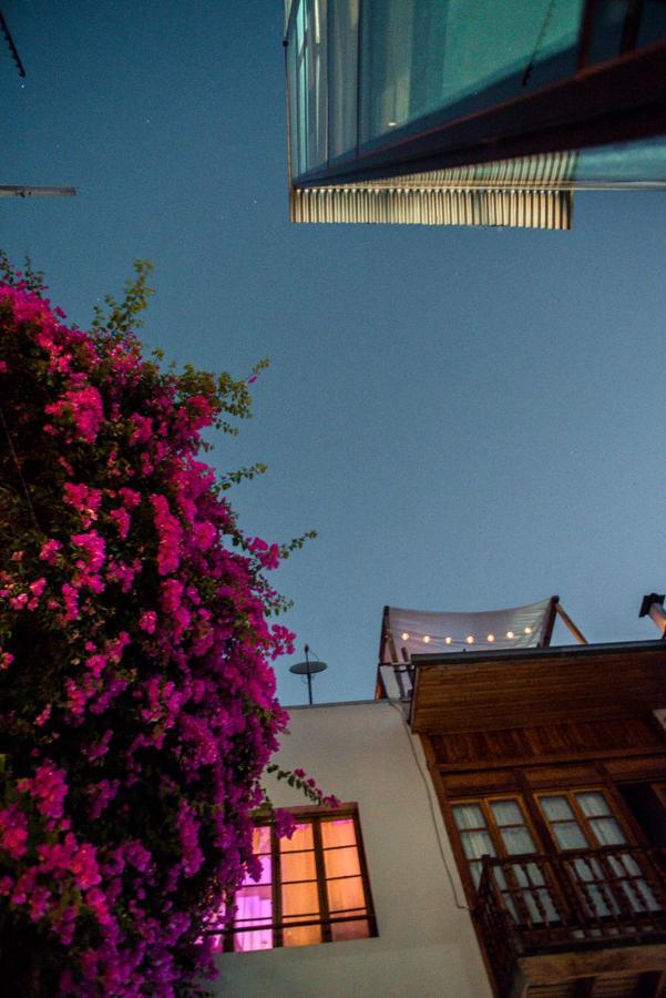 Bella 269 Guest House ซานติอาโก ภายนอก รูปภาพ