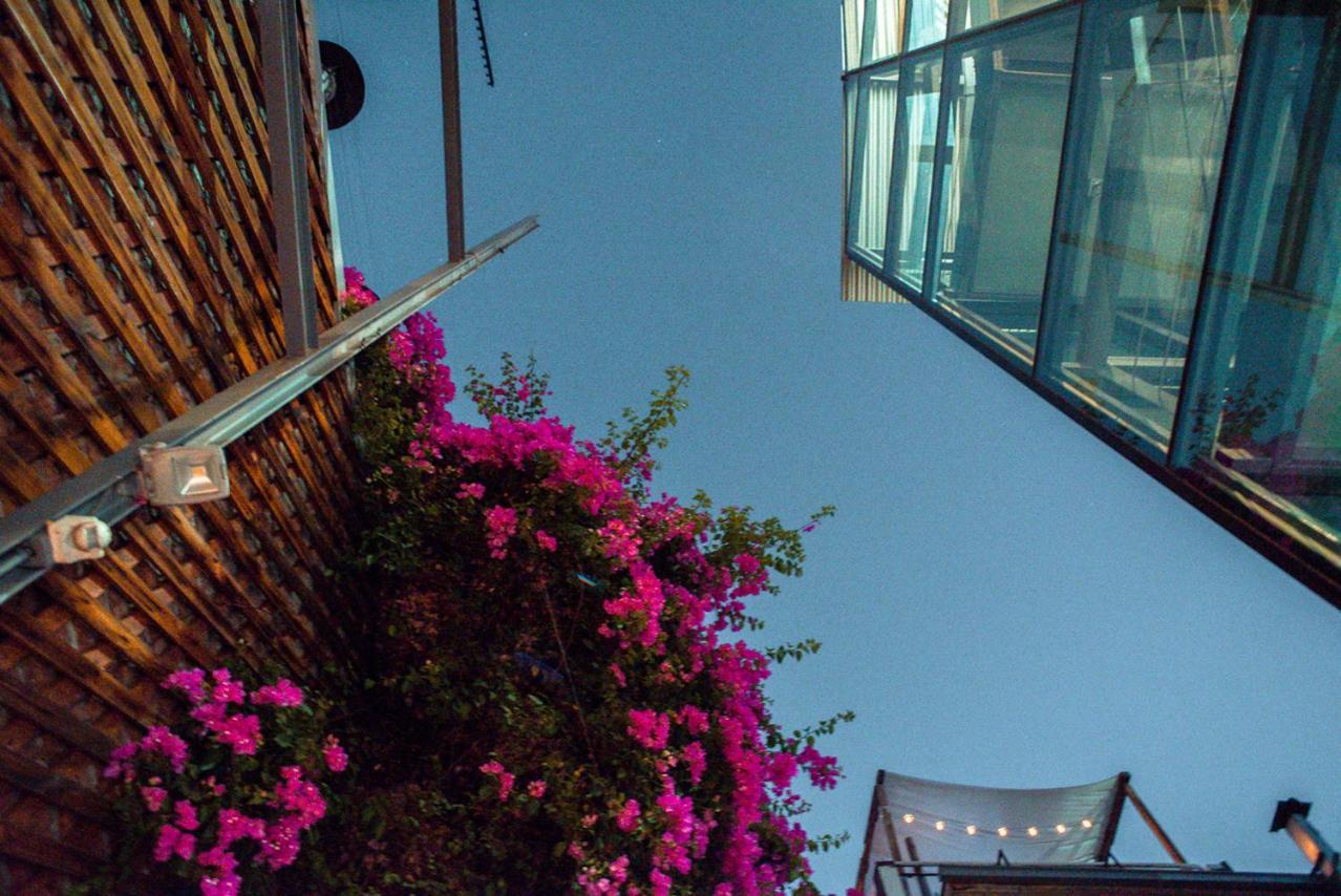 Bella 269 Guest House ซานติอาโก ภายนอก รูปภาพ