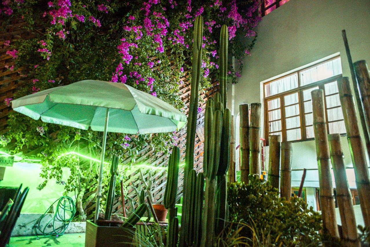 Bella 269 Guest House ซานติอาโก ภายนอก รูปภาพ